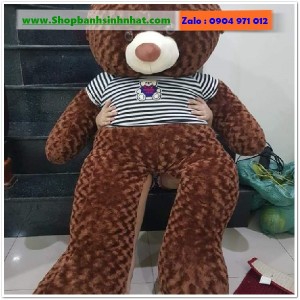 Gấu Bông Teddy Hàn Quốc - GAU92